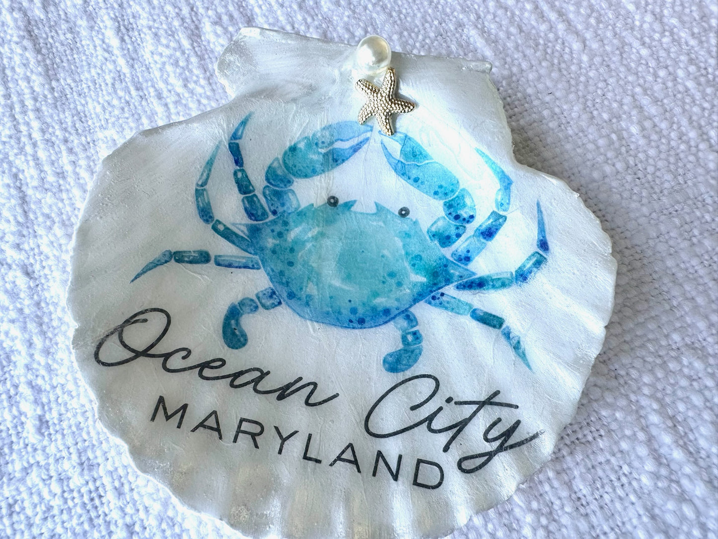 Ocean City Maryland Scallop Shell Display