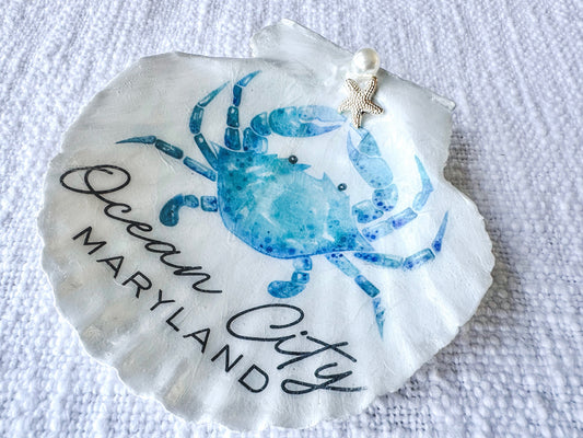 Ocean City Maryland Scallop Shell Display